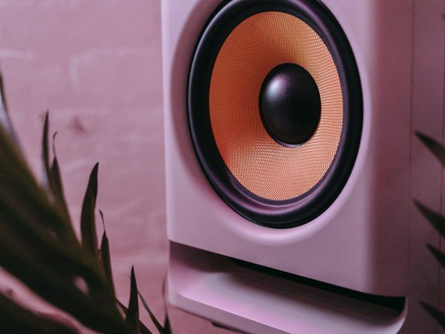 Monitor Speakers